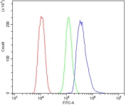 Flow cytometry testing of human ThP-1 cells with CHOP antibody at 1ug/million cells (blocked with goat sera); Red=cells alone, Green=isotype control, Blue= DDIT3 antibody.