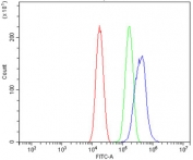 Flow cytometry testing of human PC-3 cells with LIM-1 antibody at 1ug/million cells (blocked with goat sera); Red=cells alone, Green=isotype control, Blue= LIM-1 antibody.