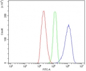 Flow cytometry testing of rat C6 cells with Cd146 antibody at 1ug/million cells (blocked with goat sera); Red=cells alone, Green=isotype control, Blue= Cd146 antibody.