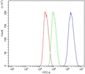 Flow cytometry testing of human HepG2 cells with MCM5 antibody at 1ug/million cells (blocked with goat sera); Red=cells alone, Green=isotype control, Blue= MCM5 antibody.