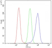 Flow cytometry testing of human A549 cells with ULK1 antibody at 1ug/million cells (blocked with goat sera); Red=cells alone, Green=isotype control, Blue= ULK1 antibody.