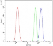 Flow cytometry testing of human a431 cells with ZFP42 antibody at 1ug/million cells (blocked with goat sera); Red=cells alone, Green=isotype control, Blue= ZFP42 antibody.