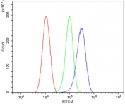 Flow cytometry testing of human HeLa cells with Peroxiredoxin 6 antibody at 1ug/million cells (blocked with goat sera); Red=cells alone, Green=isotype control, Blue= Peroxiredoxin 6 antibody.