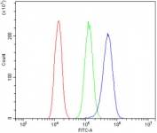 Flow cytometry testing of human A431 cells with ADAM15 antibody at 1ug/million cells (blocked with goat sera); Red=cells alone, Green=isotype control, Blue= ADAM15 antibody.