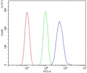 Flow cytometry testing of mouse HEPA1-6 cells with Adam28 antibody at 1ug/million cells (blocked with goat sera); Red=cells alone, Green=isotype control, Blue= Adam28 antibody.