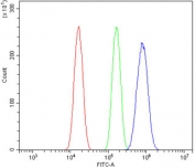 Flow cytometry testing of mouse Neuro-2a cells with Ah Receptor antibody at 1ug/million cells (blocked with goat sera); Red=cells alone, Green=isotype control, Blue= Ah Receptor antibody.