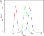 Flow cytometry testing of fixed and permeabilized human PC-3 cells with ASIC2 antibody at 1ug/million cells (blocked with goat sera); Red=cells alone, Green=isotype control, Blue= ASIC2 antibody.