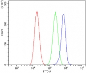 Flow cytometry testing of fixed and permeabilized human A549 cells with ASIC2 antibody at 1ug/million cells (blocked with goat sera); Red=cells alone, Green=isotype control, Blue= ASIC2 antibody.