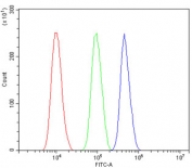 Flow cytometry testing of human SiHa cells with ASXL1 antibody at 1ug/million cells (blocked with goat sera); Red=cells alone, Green=isotype control, Blue= ASXL1 antibody.