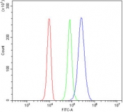 Flow cytometry testing of human 293T cells with PCTK1 antibody at 1ug/million cells (blocked with goat sera); Red=cells alone, Green=isotype control, Blue= PCTK1 antibody.