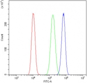 Flow cytometry testing of human U-2 OS cells with PCTK1 antibody at 1ug/million cells (blocked with goat sera); Red=cells alone, Green=isotype control, Blue= PCTK1 antibody.
