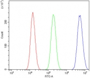 Flow cytometry testing of human A549 cells with SENP1 antibody at 1ug/million cells (blocked with goat sera); Red=cells alone, Green=isotype control, Blue= SENP1 antibody.