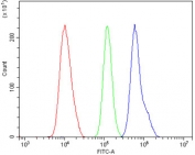 Flow cytometry testing of human U-87 MG cells with SLBP antibody at 1ug/million cells (blocked with goat sera); Red=cells alone, Green=isotype control, Blue= SLBP antibody.