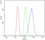Flow cytometry testing of human A431 cells with Keratin 18 antibody at 1ug/million cells (blocked with goat sera); Red=cells alone, Green=isotype control, Blue= Keratin 18 antibody.