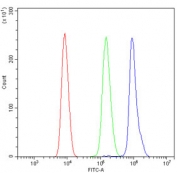 Flow cytometry testing of human HL60 cells with PARP2 antibody at 1ug/million cells (blocked with goat sera); Red=cells alone, Green=isotype control, Blue= PARP2 antibody.
