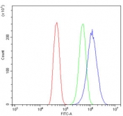 Flow cytometry testing of human Caco-2 cells with Glycine decarboxylase antibody at 1ug/million cells (blocked with goat sera); Red=cells alone, Green=isotype control, Blue= Glycine decarboxylase antibody.