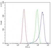Flow cytometry testing of human A431 cells with TMPRSS3 antibody at 1ug/million cells (blocked with goat sera); Red=cells alone, Green=isotype control, Blue= TMPRSS3 antibody.