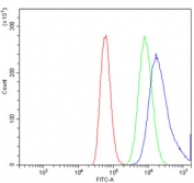 Flow cytometry testing of human A549 cells with TRPA1 antibody at 1ug/million cells (blocked with goat sera); Red=cells alone, Green=isotype control, Blue= TRPA1 antibody.