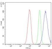 Flow cytometry testing of human HepG2 cells with BHMT antibody at 1ug/million cells (blocked with goat sera); Red=cells alone, Green=isotype control, Blue= BHMT antibody.
