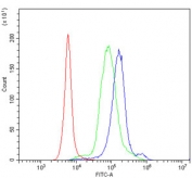 Flow cytometry testing of human PBM cells with IL-23 Receptor antibody at 1ug/million cells (blocked with goat sera); Red=cells alone, Green=isotype control, Blue= IL-23 Receptor antibody.