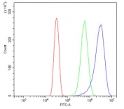 Flow cytometry testing of human U-2 OS cells with KCNJ8 antibody at 1ug/million cells (blocked with goat sera); Red=cells alone, Green=isotype control, Blue= KCNJ8 antibody.