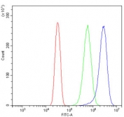 Flow cytometry testing of human U-2 OS cells with SCN2A antibody at 1ug/million cells (blocked with goat sera); Red=cells alone, Green=isotype control, Blue= SCN2A antibody.
