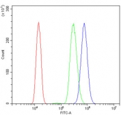 Flow cytometry testing of human HL60 cells with SUMO1 antibody at 1ug/million cells (blocked with goat sera); Red=cells alone, Green=isotype control, Blue= SUMO1 antibody.