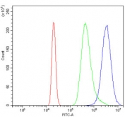 Flow cytometry testing of mouse RAW264.7 cells with Tigit antibody at 1ug/million cells (blocked with goat sera); Red=cells alone, Green=isotype control, Blue= Tigit antibody.