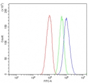 Flow cytometry testing of human HepG2 cells with CES1 antibody at 1ug/million cells (blocked with goat sera); Red=cells alone, Green=isotype control, Blue= CES1 antibody.