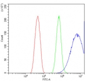 Flow cytometry testing of mouse HEPA1-6 cells with EIF4A1 antibody at 1ug/million cells (blocked with goat sera); Red=cells alone, Green=isotype control, Blue= EIF4A1 antibody.