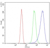 Flow cytometry testing of human SiHa cells with Argininosuccinate Synthetase 1 antibody at 1ug/million cells (blocked with goat sera); Red=cells alone, Green=isotype control, Blue= Argininosuccinate Synthetase 1 antibody.