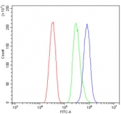 Flow cytometry testing of mouse HEPA1-6 cells with EEF2 antibody at 1ug/million cells (blocked with goat sera); Red=cells alone, Green=isotype control, Blue= EEF2 antibody.