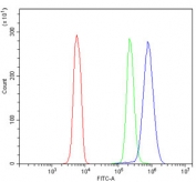 Flow cytometry testing of human U937 cells with APPL1 antibody at 1ug/million cells (blocked with goat sera); Red=cells alone, Green=isotype control, Blue= APPL1 antibody.