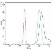 Flow cytometry testing of human U-2 OS cells with AFAP1 antibody at 1ug/million cells (blocked with goat sera); Red=cells alone, Green=isotype control, Blue= AFAP1 antibody.