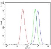 Flow cytometry testing of human A549 cells with AFAP1 antibody at 1ug/million cells (blocked with goat sera); Red=cells alone, Green=isotype control, Blue= AFAP1 antibody.