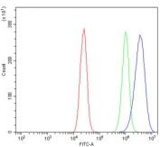 Flow cytometry testing of human Caco-2 cells with Claudin 7 antibody at 1ug/million cells (blocked with goat sera); Red=cells alone, Green=isotype control, Blue= Claudin 7 antibody.