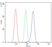 Flow cytometry testing of rat RH35 cells with PSEN2 antibody at 1ug/million cells (blocked with goat sera); Red=cells alone, Green=isotype control, Blue= PSEN2 antibody.