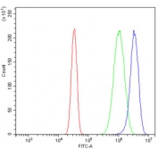 Flow cytometry testing of human U-2 OS cells with Stathmin 2 antibody at 1ug/million cells (blocked with goat sera); Red=cells alone, Green=isotype control, Blue= Stathmin 2 antibody.