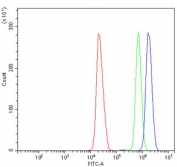 Flow cytometry testing of human HL60 cells with Poly (ADP-ribose) polymerase 1 antibody at 1ug/million cells (blocked with goat sera); Red=cells alone, Green=isotype control, Blue= PARP antibody.