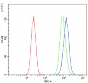 Flow cytometry testing of human 293T cells with PORC-PI-1 antibody at 1ug/million cells (blocked with goat sera); Red=cells alone, Green=isotype control, Blue= PORC-PI-1 antibody.