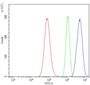 Flow cytometry testing of human A549 cells with MCM5 antibody at 1ug/million cells (blocked with goat sera); Red=cells alone, Green=isotype control, Blue= MCM5 antibody.