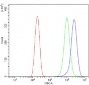 Flow cytometry testing of human U-2 OS cells with ABCB1 antibody at 1ug/million cells (blocked with goat sera); Red=cells alone, Green=isotype control, Blue= ABCB1 antibody.