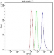Flow cytometry testing of fixed and permeabilized human Jurkat cells with Argonaute 3 antibody at 1ug/million cells (blocked with goat sera); Red=cells alone, Green=isotype control, Blue= Argonaute 3 antibody.