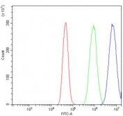 Flow cytometry testing of human A431 cells with TORC1/CRTC1 antibody at 1ug/million cells (blocked with goat sera); Red=cells alone, Green=isotype control, Blue= TORC1/CRTC1 antibody.