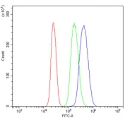 Flow cytometry testing of human U937 cells with Huntingtin-associated protein 1 antibody at 1ug/million cells (blocked with goat sera); Red=cells alone, Green=isotype control, Blue= Huntingtin-associated protein 1 antibody.