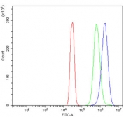 Flow cytometry testing of human SiHa cells with LY6E antibody at 1ug/million cells (blocked with goat sera); Red=cells alone, Green=isotype control, Blue= LY6E antibody.
