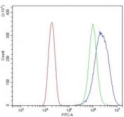 Flow cytometry testing of human U-2 OS cells with NCAM1 antibody at 1ug/million cells (blocked with goat sera); Red=cells alone, Green=isotype control, Blue= NCAM1 antibody.