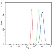 Flow cytometry testing of human A431 cells with PFN2 antibody at 1ug/million cells (blocked with goat sera); Red=cells alone, Green=isotype control, Blue= PFN2 antibody.