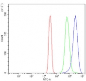 Flow cytometry testing of human SiHa cells with Poliovirus Receptor antibody at 1ug/million cells (blocked with goat sera); Red=cells alone, Green=isotype control, Blue= Poliovirus Receptor antibody.