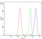 Flow cytometry testing of human 293T cells with ANG2 antibody at 1ug/million cells (blocked with goat sera); Red=cells alone, Green=isotype control, Blue= ANG2 antibody.